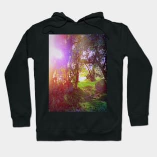 Retro Vintage Tumblr Landscape - Into The Woods Hoodie